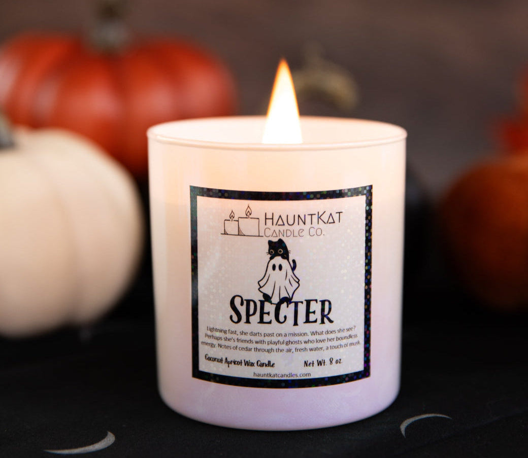 Specter (The White Cat)